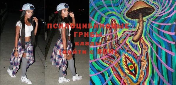 индика Алексеевка