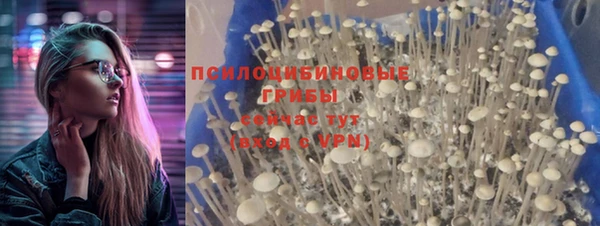 СК Абдулино