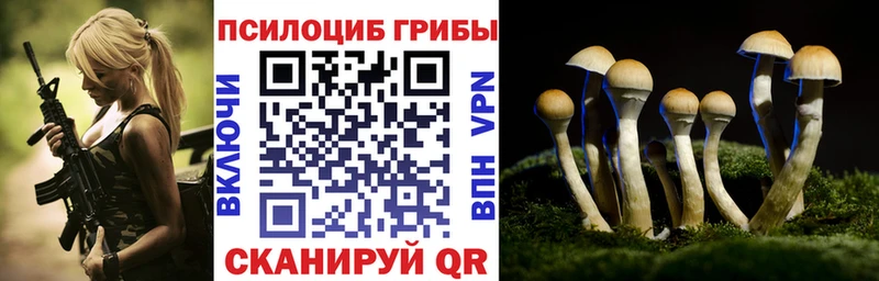 Псилоцибиновые грибы ЛСД KRAKEN рабочий сайт Щёлково сколько стоит