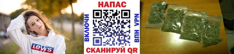 где можно купить Щёлково Конопля планчик